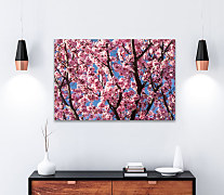 Obraz Ružové kvety na konároch stromu 1366